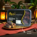 20250730_180121-2 (1)